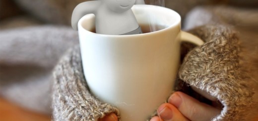 fred and friends mister tea infuser