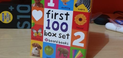 First 100 Board Book Box Set